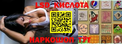 прущие грибы Рыбинск