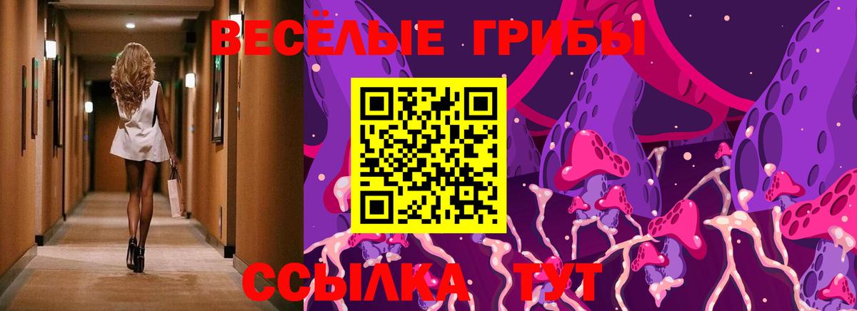 Псилоцибиновые грибы Magic Shrooms  как найти закладки  Вход с VPN  Озёрск  Псилоцибиновые грибы Cubensis 